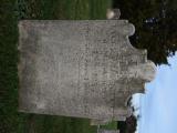 image of grave number 785600